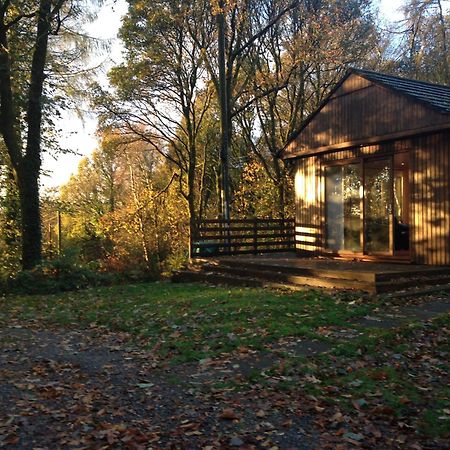 The Shack, Cally Avenue, Gatehouse Of Fleet, Dumfries And Galloway, Dg7 2 Dh Villa Exterior photo