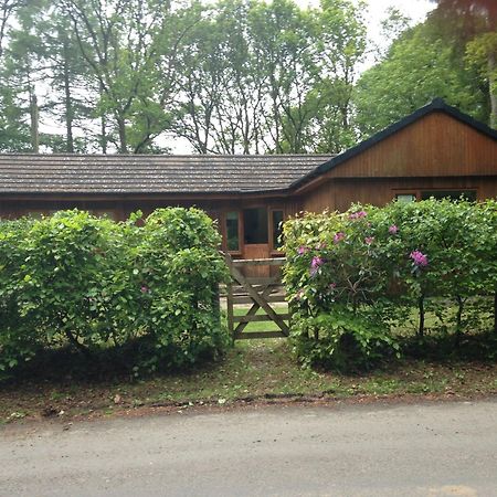 The Shack, Cally Avenue, Gatehouse Of Fleet, Dumfries And Galloway, Dg7 2 Dh Villa Exterior photo